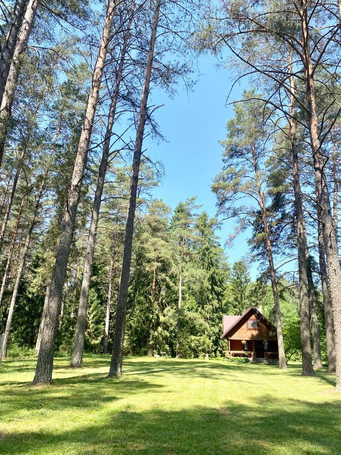 Вілла Rojaus Slenis Друскінінкай Екстер'єр фото