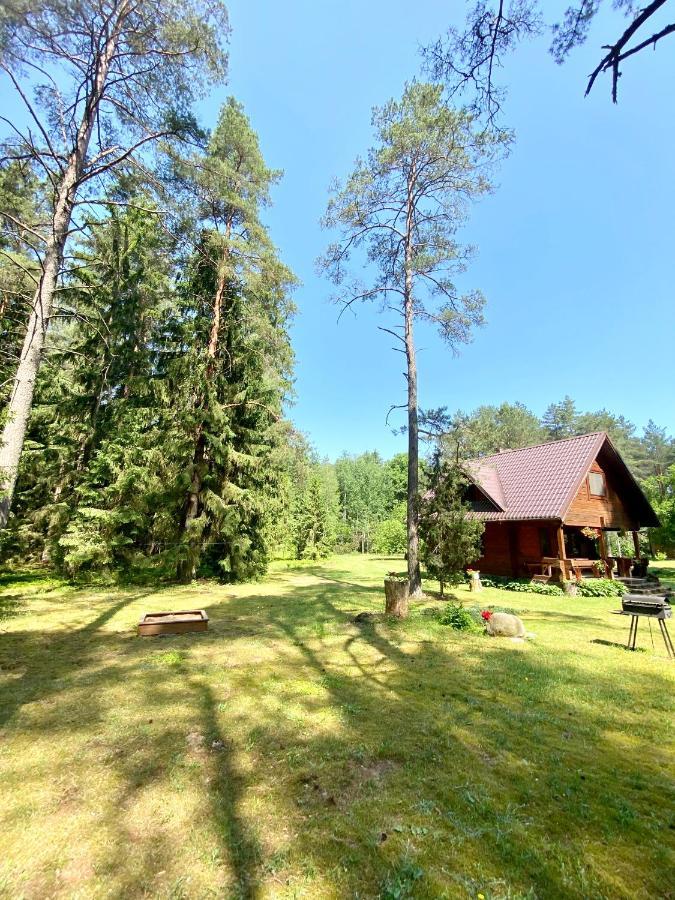 Вілла Rojaus Slenis Друскінінкай Екстер'єр фото