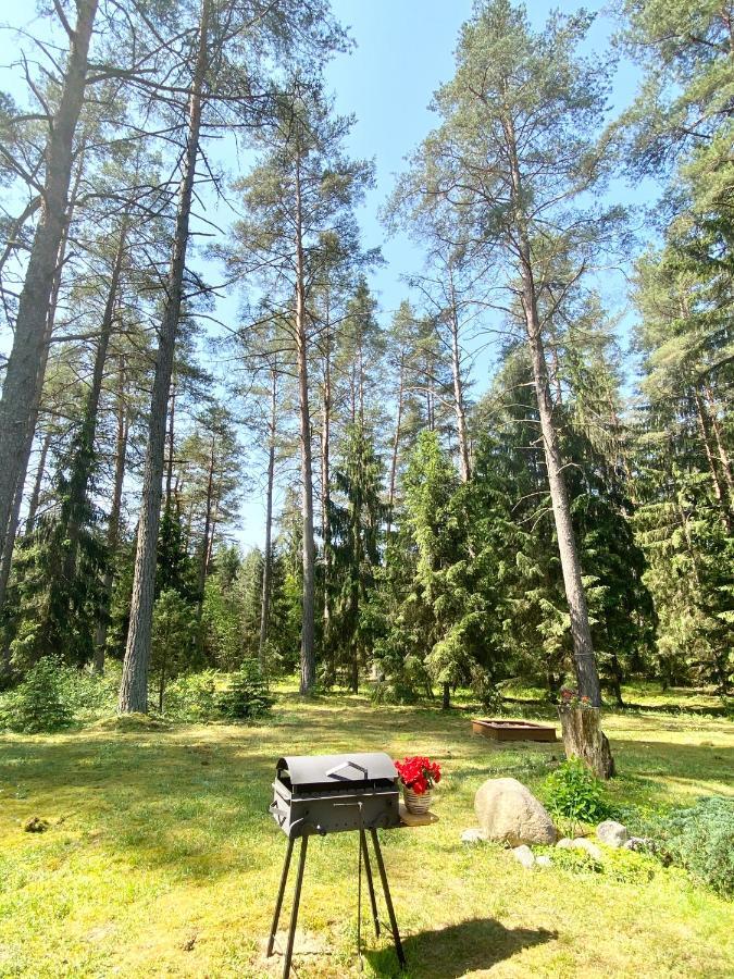 Вілла Rojaus Slenis Друскінінкай Екстер'єр фото