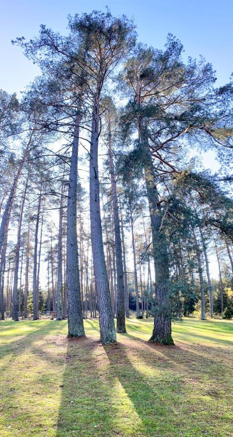 Вілла Rojaus Slenis Друскінінкай Екстер'єр фото