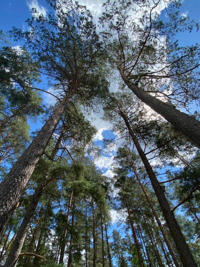 Вілла Rojaus Slenis Друскінінкай Екстер'єр фото