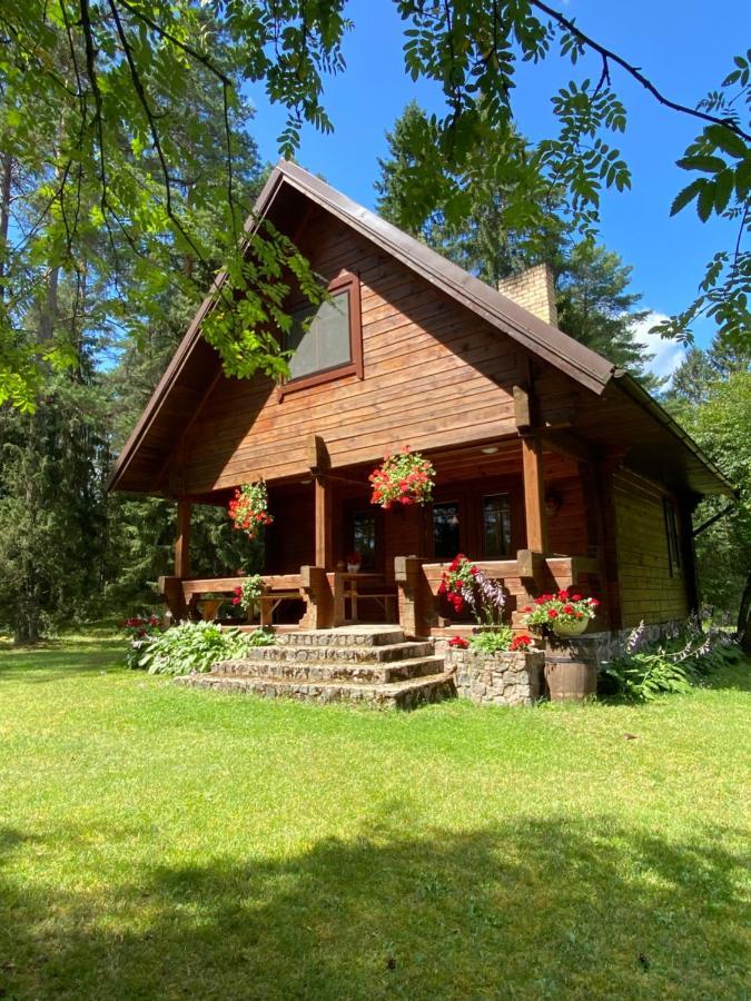 Вілла Rojaus Slenis Друскінінкай Екстер'єр фото