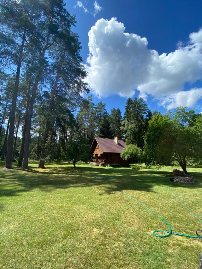 Вілла Rojaus Slenis Друскінінкай Екстер'єр фото
