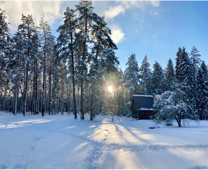 Вілла Rojaus Slenis Друскінінкай Екстер'єр фото
