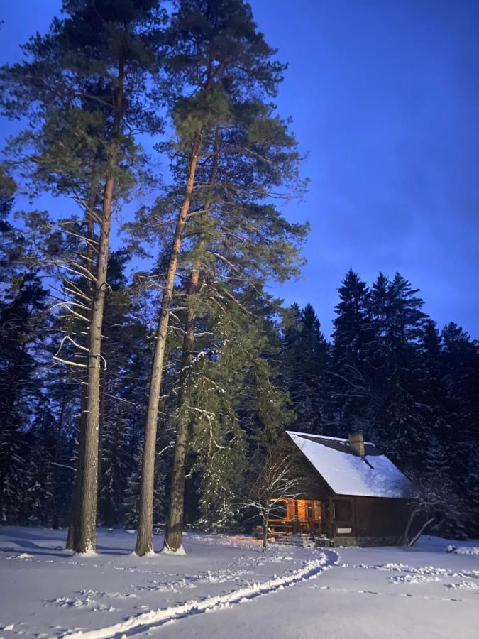 Вілла Rojaus Slenis Друскінінкай Екстер'єр фото