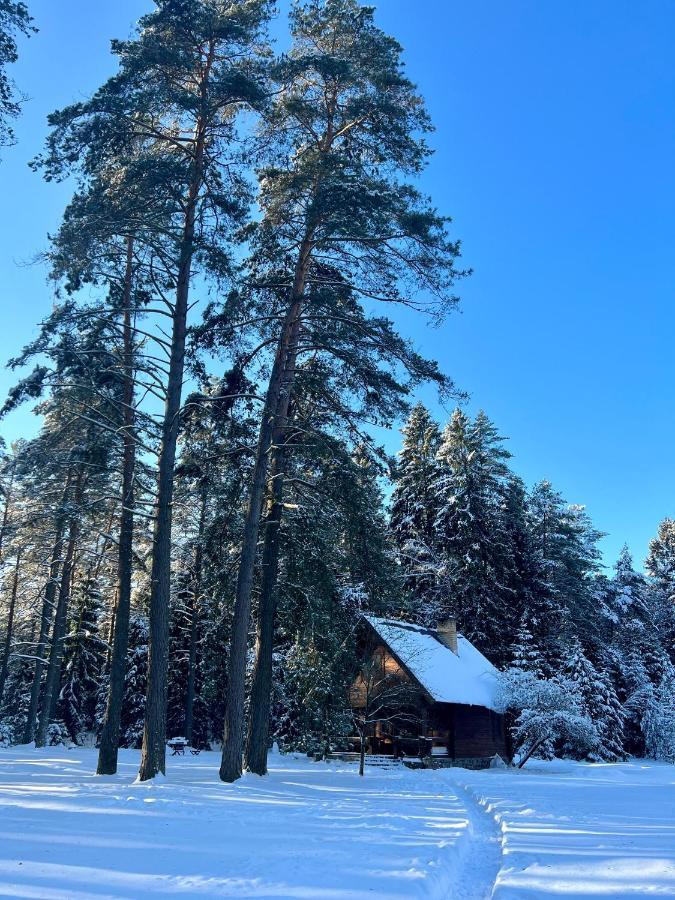 Вілла Rojaus Slenis Друскінінкай Екстер'єр фото