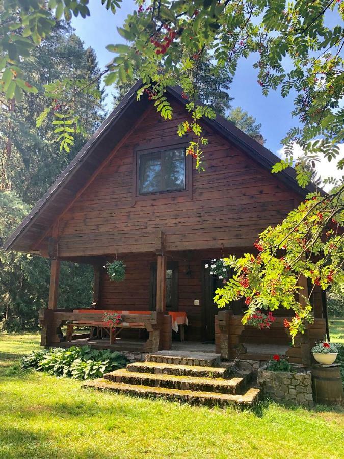 Вілла Rojaus Slenis Друскінінкай Екстер'єр фото