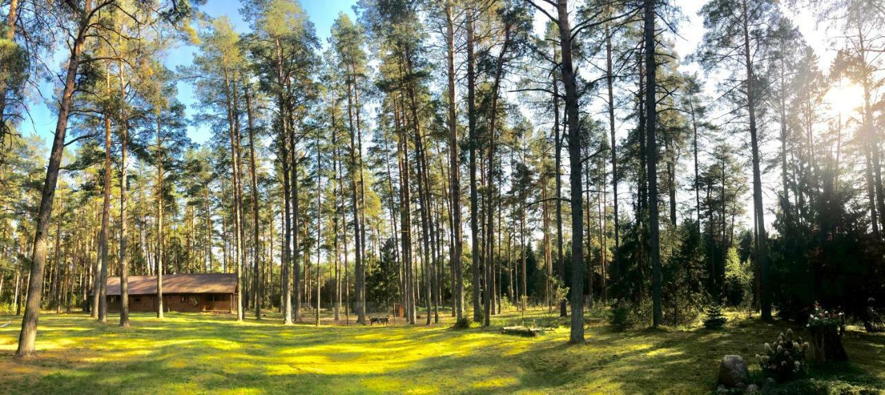 Вілла Rojaus Slenis Друскінінкай Екстер'єр фото