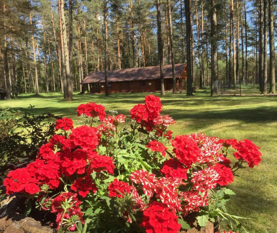 Вілла Rojaus Slenis Друскінінкай Екстер'єр фото