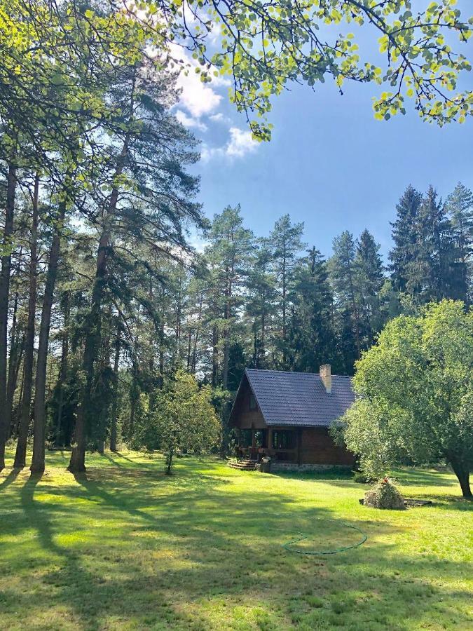 Вілла Rojaus Slenis Друскінінкай Екстер'єр фото