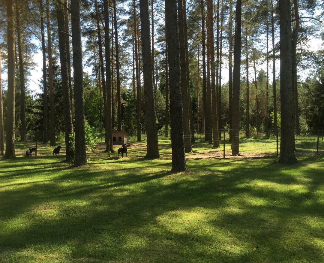 Вілла Rojaus Slenis Друскінінкай Екстер'єр фото